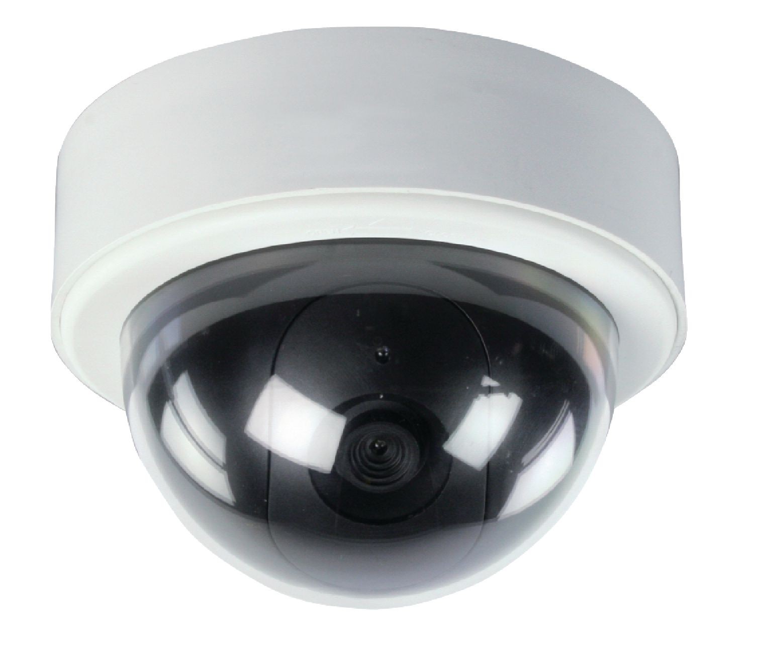 SAS-DUMMYCAM65_4.JPG