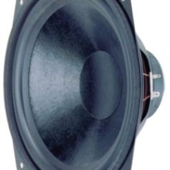 Woofer da 25 cm (10 ") 8 Ohm 110 W