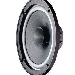 Altoparlante a banda larga da 16 cm - 8 Ohm 60W