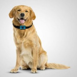 Collare addestramento cane cani anti abbaio abbaiare - legale ed innocuo